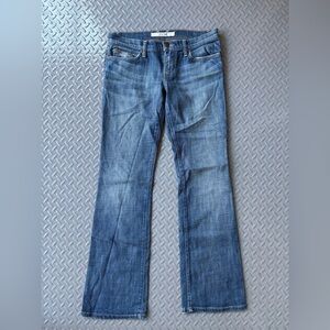 Joe's Jeans Womens Flare Low Rise Y2K